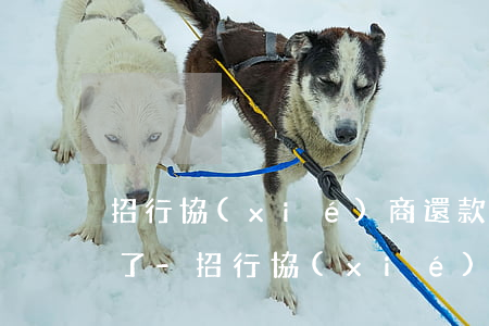 招行協(xié)商還款后還了幾期還不起了-招行協(xié)商還款后還了幾期還不起了怎么辦