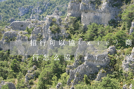 招行可以協(xié)商分期還款嗎(招商銀行怎么協(xié)商分期還款)