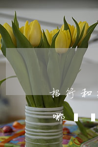 招行和交行信用卡利息-招商和交通信用卡哪個額度高