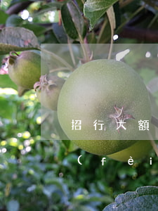 招行大額消費(fèi)逾期 招行大額消費(fèi)逾期了