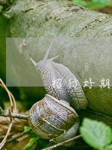 招行好期貸還款逾期