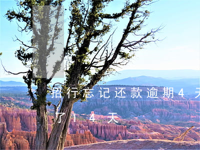 招行忘记还款逾期4天(招行信用卡忘记还款了14天)