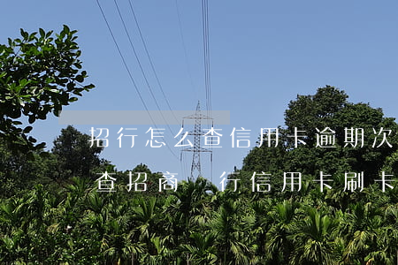 招行怎么查信用卡逾期次數(shù)(怎么查招商銀行信用卡刷卡次數(shù))