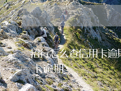 招行怎么查信用卡逾期記錄(怎么查以前信用卡逾期記錄)