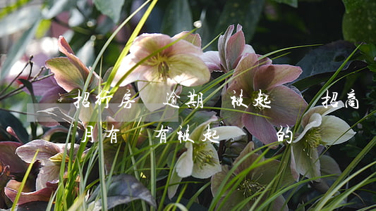 招行房貸逾期會被起訴嗎(招商銀行逾期三個月有沒有被起訴過的)