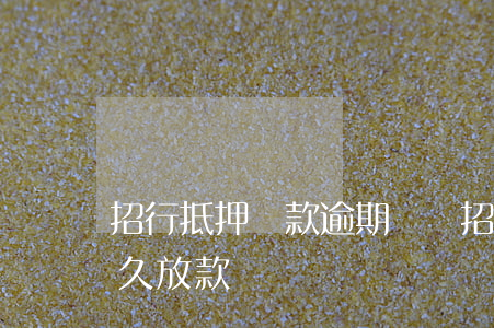 招行抵押貸款逾期還貸(招商銀行抵押貸款多久放款)