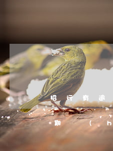 招行有逾期影響辦信用卡嗎-招行e招貸逾期會(huì)影響其他信用卡嗎