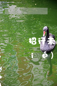 招行未逾期協(xié)商還款(招行協(xié)商還款終于成功了)