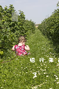 招行未逾期協商還款(招行協商還款終于成功了)