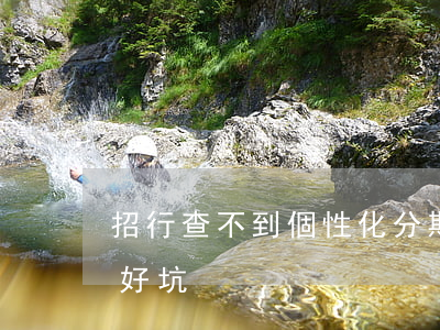 招行查不到個性化分期(招商個性化分期不給好坑)