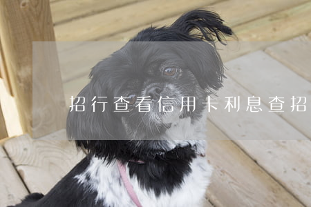 招行查看信用卡利息(查招行信用卡余額查詢)