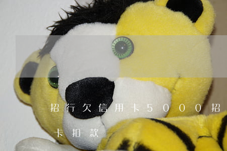 招行欠信用卡5000(招行欠信用卡錢儲蓄卡扣款)