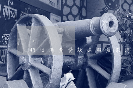 招行消费贷款逾期后果(消费贷款逾期案后果)