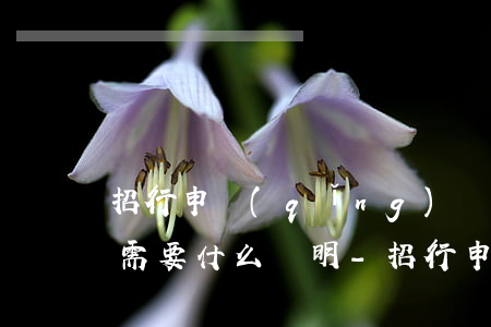 招行申請(qǐng)個(gè)性化分期需要什么證明-招行申請(qǐng)個(gè)性化分期需要什么證明材料