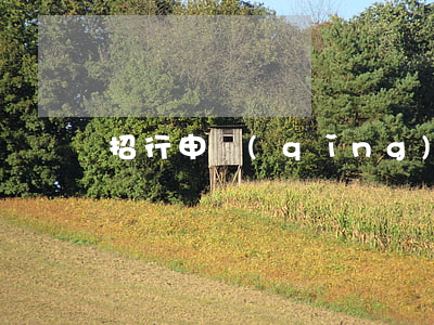 招行申請(qǐng)停息掛賬失敗