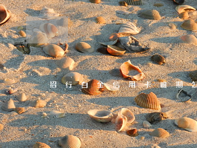 招行白金信用卡逾期怎么办(招行白金卡 延误)