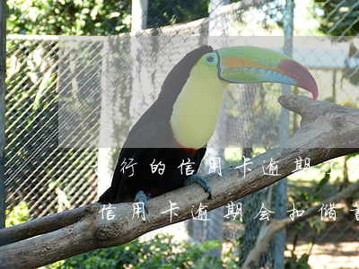招行的信用卡逾期了会扣储蓄卡的钱吗（招行信用卡逾期会扣储蓄卡吗）