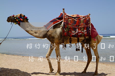 招行的信用卡逾期了會扣儲蓄卡的錢嗎（招行信用卡逾期會自動扣錢嗎）