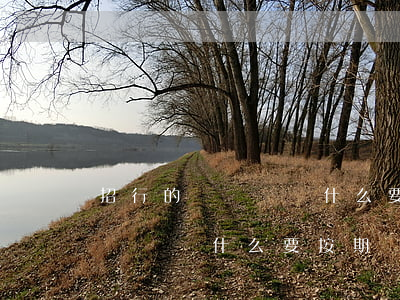 招行的閃電貸為什么要按期還款-招行的閃電貸為什么要按期還款呢