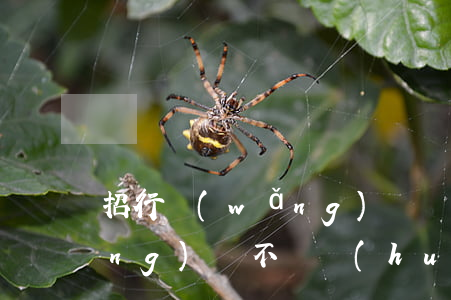 招行網(wǎng)貸還不起 招商網(wǎng)貸不還會(huì)怎么樣