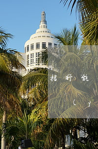 招行能不能停息掛賬-招行能不能停息掛賬業(yè)務(wù)
