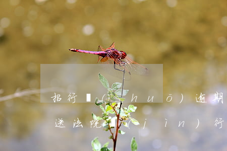 招行說(shuō)逾期嚴(yán)重移送法院進(jìn)行訴訟-招行說(shuō)逾期嚴(yán)重移送法院進(jìn)行訴訟是真的嗎