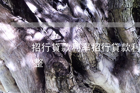 招行貸款利率(招行貸款利率調(diào)整)