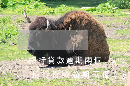 招行貸款逾期兩個(gè)小時(shí)(招行貸款逾期兩個(gè)小時(shí))
