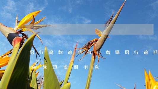 招行貸款逾期有利息嗎(招行逾期五天了,也沒給我算逾期利息)