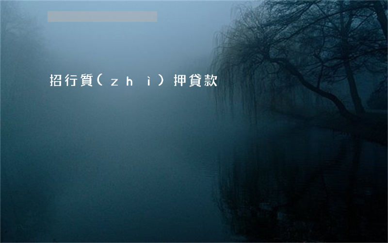 招行質(zhì)押貸款