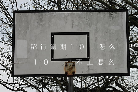 招行逾期10萬怎么辦理信用卡 招商信用卡10萬還不上怎么辦
