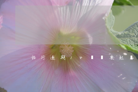 招行逾期14萬說要起訴