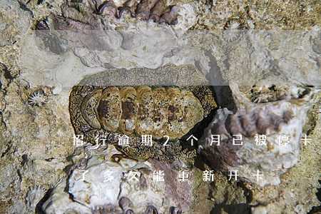 招行逾期2个月已被停卡(招商银行逾期停卡了,多久能重新开卡)