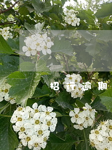 招行逾期2期會被起訴嗎