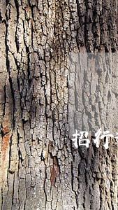 招行逾期3天(招行逾期一周沒多大事)
