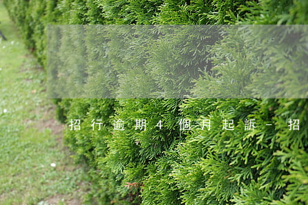 招行逾期4個月起訴-招行逾期4個月起訴