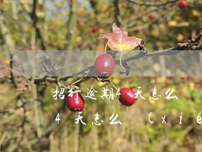招行逾期4天怎么協(xié)商（招行逾期4天怎么協(xié)商）