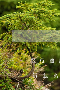 招行逾期4萬起訴怎么辦-招行逾期4萬起訴怎么辦