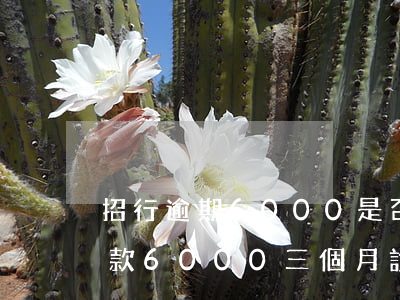 招行逾期6000是否會被起訴 招商銀行欠款6000三個月,說起訴我,怎么辦