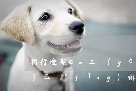 招行逾期6w三個(gè)月說(shuō)已經(jīng)排期了-招行逾期6w三個(gè)月說(shuō)已經(jīng)排期了是真的嗎