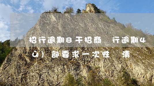 招行逾期8干(招商銀行逾期4個月法務(wù)部要求一次性還清)
