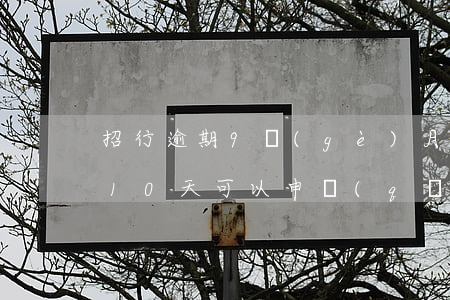 招行逾期9個(gè)月減免(招商銀行逾期10天可以申請(qǐng)撤銷(xiāo)征信嗎)