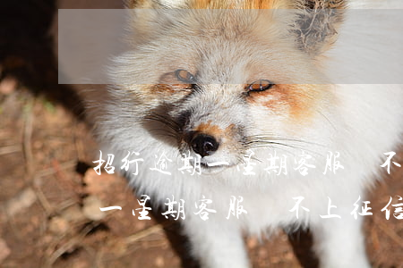 招行逾期一星期客服說不上征信-招行逾期一星期客服說不上征信怎么辦