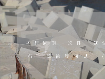 招行逾期一次性還款跟誰協(xié)商(招行貸款逾期可以協(xié)商嗎)