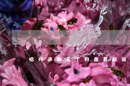 招行逾期三个月会真起诉吗