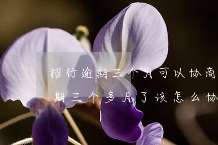 招行逾期三个月可以协商还款吗 招商银行逾期三个多月了该怎么协商