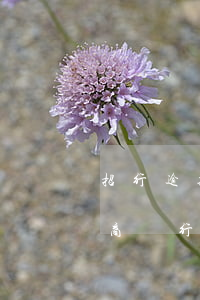 招行逾期三個(gè)月就起訴了怎么辦(招商銀行逾期三個(gè)月有沒(méi)有被起訴過(guò)的)