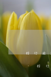 招行逾期三個月還進(jìn)去能解凍嗎-招行逾期三個月還進(jìn)去能解凍嗎安全嗎