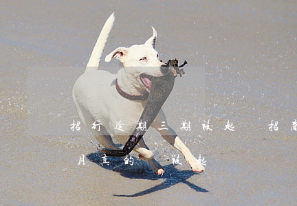 招行逾期三期被起訴(招商銀行欠款逾期三個月真的會被起訴嗎)