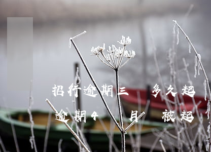 招行逾期三萬多久起訴(招商銀行欠款3萬多逾期4個月會被起訴嗎)